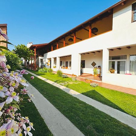 Elma Guesthouse Alba Iulia Buitenkant foto