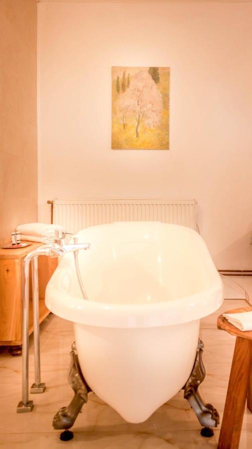 Elma Guesthouse Alba Iulia Buitenkant foto
